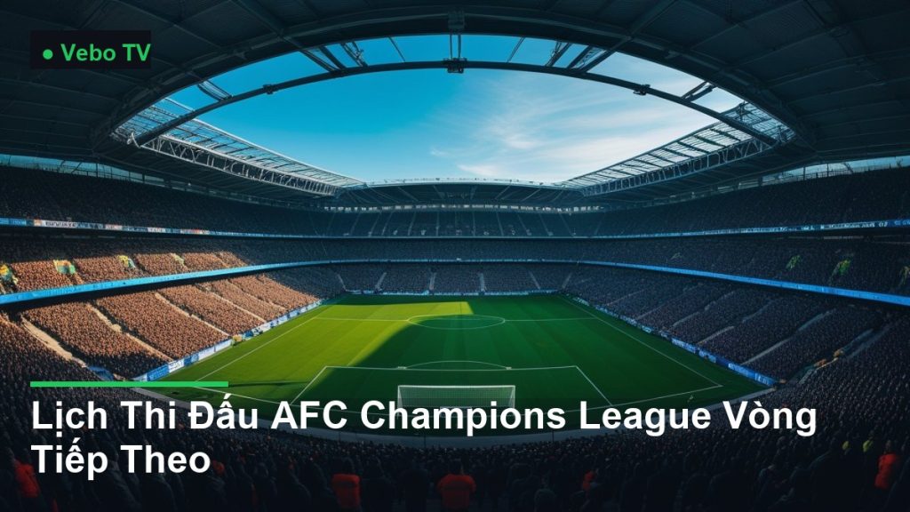 toàn cảnh sân vận động nhìn từ trên cao - Lịch Thi Đấu AFC Champions League Vòng Tiếp Theo